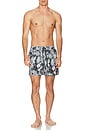 view 5 of 5 Moses Swim Shorts in Bloom Print