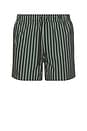view 1 of 6 Moses Swim Shorts in Climbing Ivy Stripe