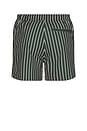 view 2 of 6 Moses Swim Shorts in Climbing Ivy Stripe