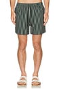 view 5 of 6 Moses Swim Shorts in Climbing Ivy Stripe