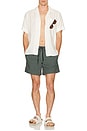 view 6 of 6 Moses Swim Shorts in Climbing Ivy Stripe