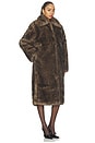 view 4 of 4 Salyllo Coat in Brown