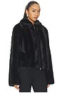 view 4 of 5 Salyllo Jacket in Black