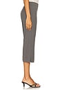 view 3 of 6 Sacorla Trousers in Dark Gull Gray Pinstripe