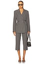 view 5 of 6 Sacorla Trousers in Dark Gull Gray Pinstripe