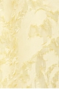 view 5 of 5 Sacatalpa Button Up in Dusty Yellow