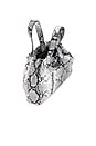 view 5 of 5 Saemmi Midi Bag in Black & White Snake