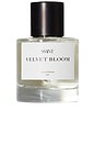 view 1 of 2 Velvet Bloom Eau de Parfum 50ml in 