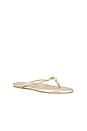 view 2 of 5 Indie Sandal in Champagne