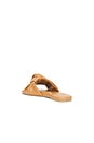 view 3 of 5 Nottie Sandal in Desert Sand