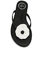view 4 of 5 Valentina Sandal in Black & White