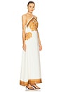 view 2 of 3 Kora Maxi Dress in Brown Print