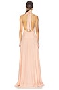 view 3 of 4 ROBE MAXI ASTRID in Pink Blush