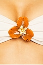 view 6 of 6 Cyra Bikini Top in Macademia