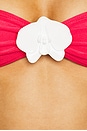 view 5 of 5 Claire Bikini Bottom in Raspberry