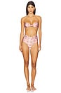 view 4 of 4 Tiziana Bikini Bottom in Pink Print