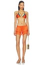 view 4 of 4 Alexander Bikini Top in Jaffa Orange