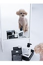 view 11 of 10 CHAMPÚ STUCK SOAP BLUSH GARDEN DOG SHAMPOO in 