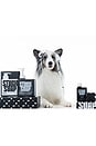 view 9 of 10 CHAMPÚ STUCK SOAP BLUSH GARDEN DOG SHAMPOO in 