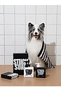 view 11 of 11 Silent Grove Dog Shampoo in 