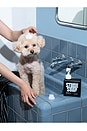 view 9 of 11 Silent Grove Dog Shampoo in 