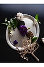view 5 of 8 Silent Grove ph-Balanced Dog Solid Soap in 
