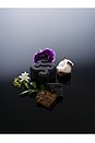 view 8 of 8 Silent Grove ph-Balanced Dog Solid Soap in 