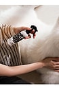 view 7 of 11 Blush Garden Dog Leave-In Conditioning Spray in 