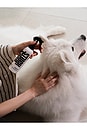 view 9 of 11 Blush Garden Dog Leave-In Conditioning Spray in 