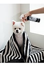 view 4 of 8 Silent Grove Dog Leave-In Conditioning Spray in 