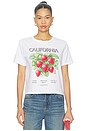 view 1 of 4 T-SHIRT CALIFORNIA STRABERRIES in White