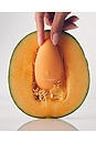 view 2 of 7 The Essential Vibrator in Peach
