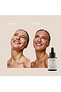view 5 of 9 Golden Nights Sleep Repair Tan Drops in 