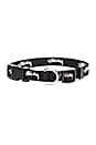 view 2 of 2 Dog Collar-Leash Set in Black