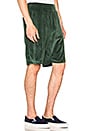 view 2 of 4 Velour Short in Green