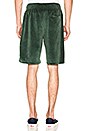 view 3 of 4 Velour Short in Green