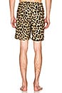 view 4 of 5 Leopard Water Short in Leopard