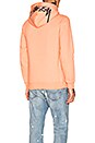 view 1 of 5 Smooth Stock Applique Hoodie in Salmon