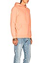 view 3 of 5 Smooth Stock Applique Hoodie in Salmon