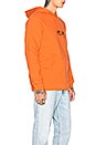 view 2 of 4 SWEAT À CAPUCHE in Rust