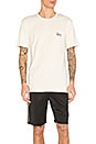 view 1 of 4 Basic Stussy Tee in Natural