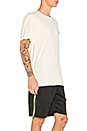 view 2 of 4 Basic Stussy Tee in Natural