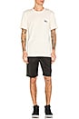 view 4 of 4 Basic Stussy Tee in Natural