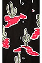 view 5 of 5 Cactus Button Down in Black
