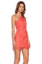 view 2 of 4 Hong Kong Shift Dress in Coral