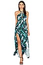 view 2 of 3 Sierra Maxi Dress in Sierra Print