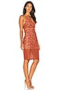 view 2 of 3 Laylor Midi Dress in Sedona
