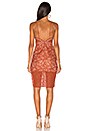 view 3 of 3 Laylor Midi Dress in Sedona