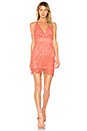 view 1 of 3 Amelie Mini Dress in Melon