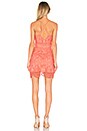 view 3 of 3 Amelie Mini Dress in Melon